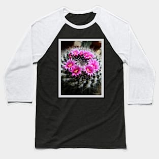 Purple Cactus Flowers Baseball T-Shirt